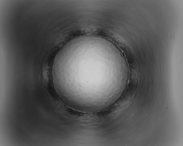 X0000094361346200711162042