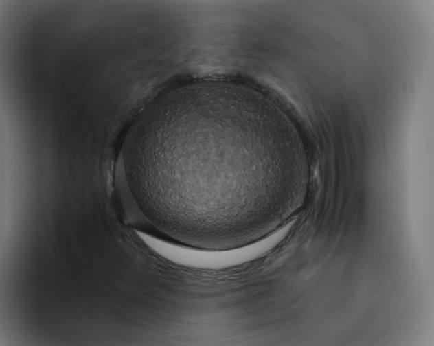 X0000094361348200711162042