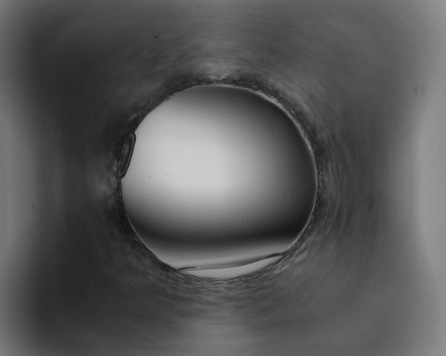 X0000094361349200711162042