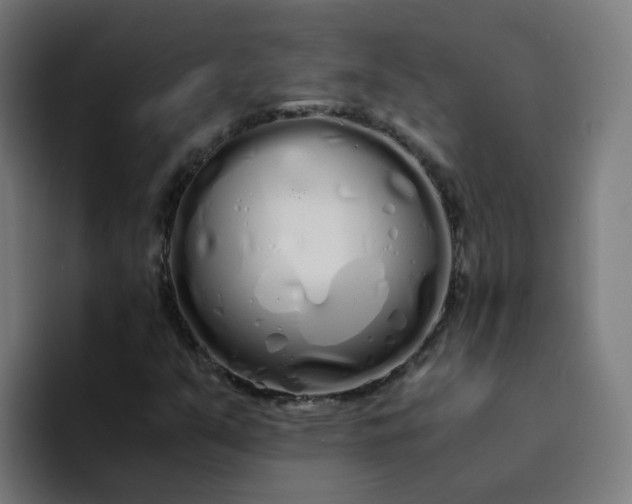 X0000094361351200711162042