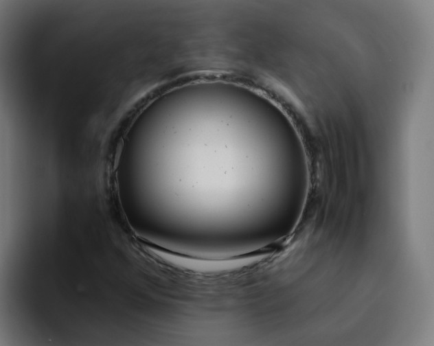 X0000094361352200711162042