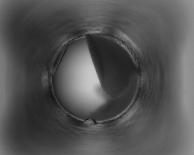 X0000094361353200711162042