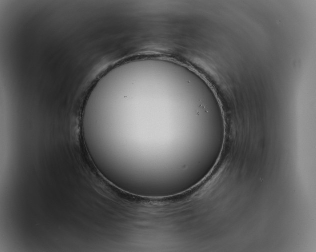 X0000094361355200711162042