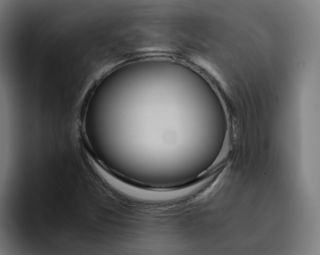 X0000094361357200711162042