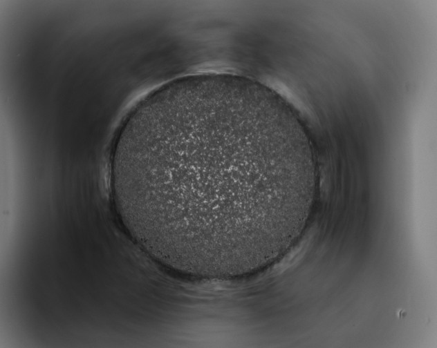 X0000094361358200711162042