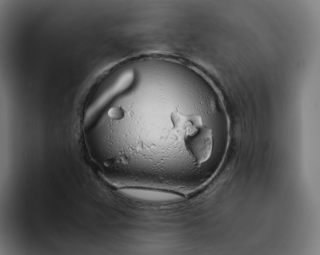 X0000094361359200711162042