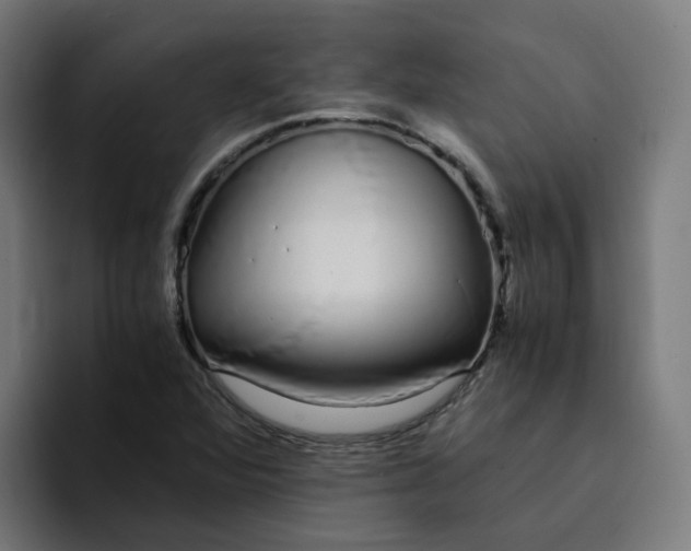 X0000094361360200711162042