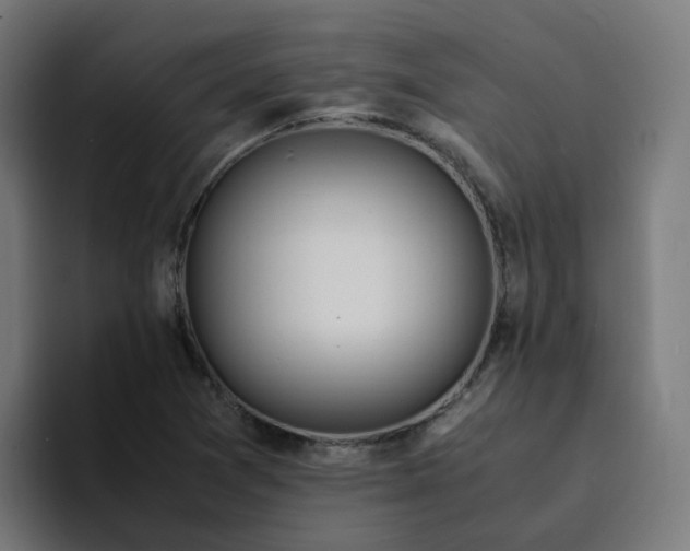 X0000094361361200711162042