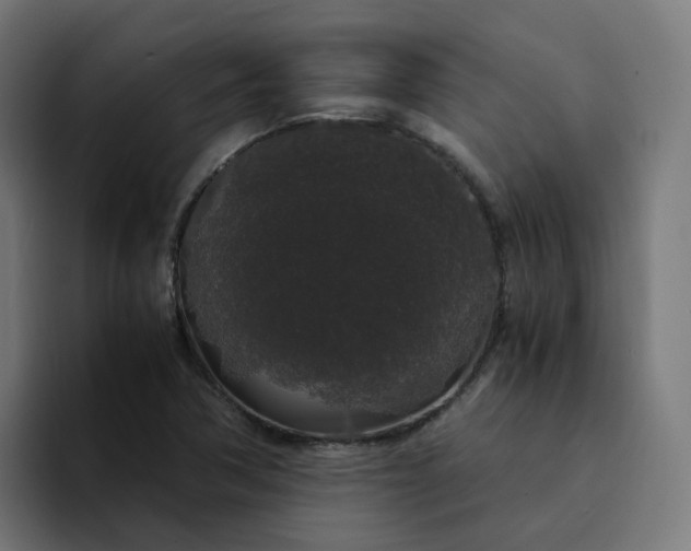 X0000094361362200711162042