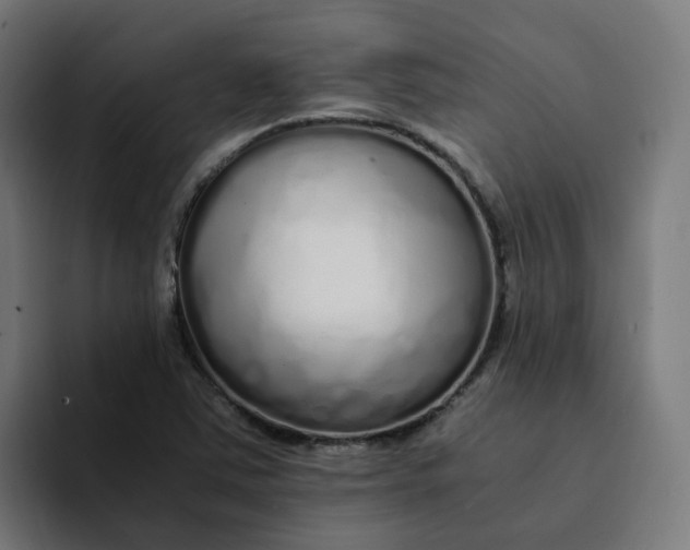 X0000094361363200711162042