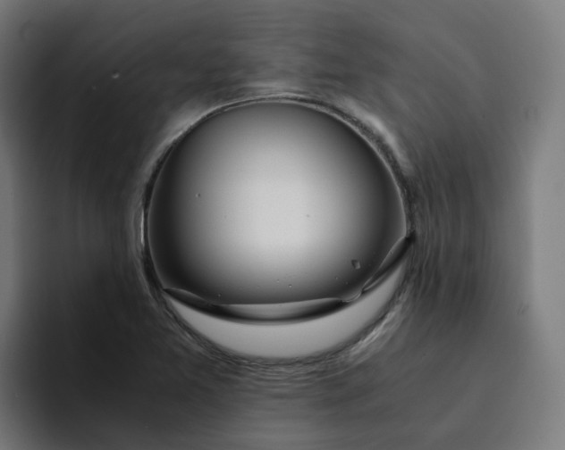 X0000094361365200711162042