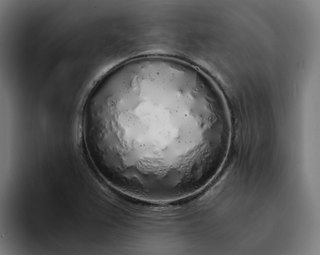 X0000094361367200711162042