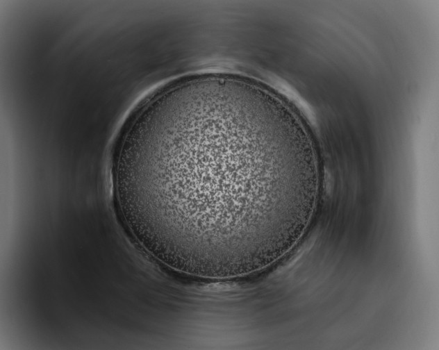 X0000094361368200711162042