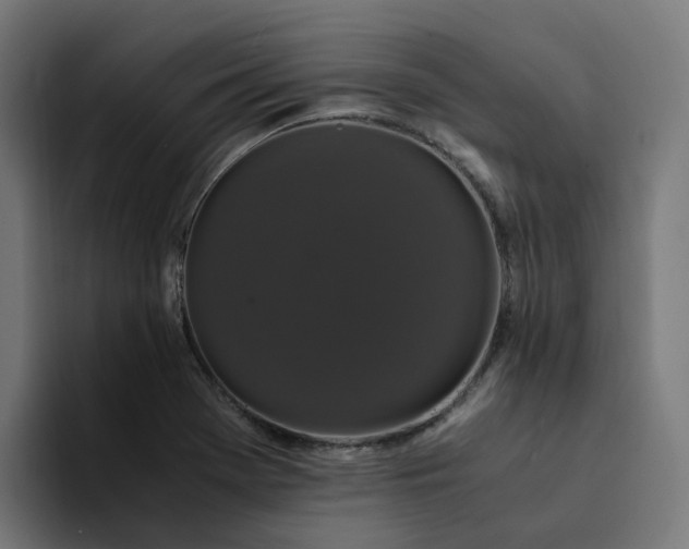 X0000094361369200711162042