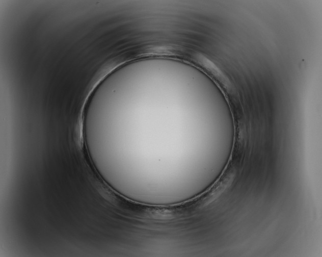 X0000094361370200711162042