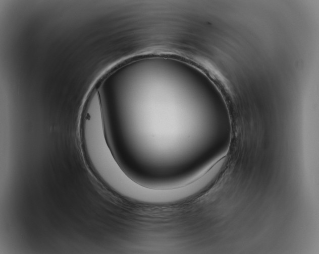 X0000094361372200711162042