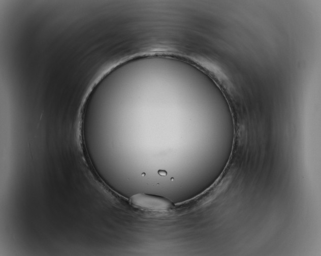 X0000094361374200711162042