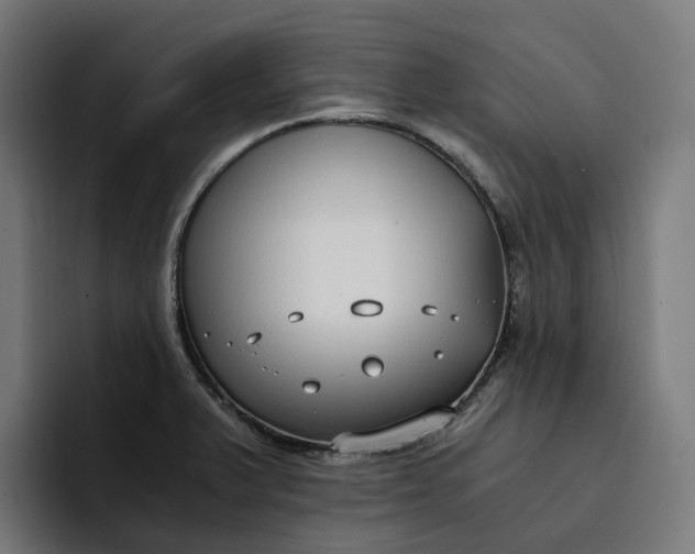 X0000094361375200711162042