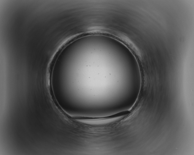 X0000094361376200711162042