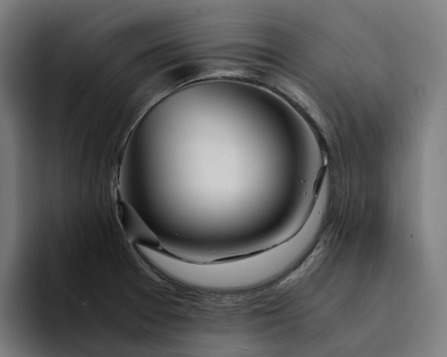 X0000094361377200711162042