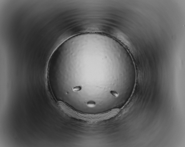 X0000094361378200711162042