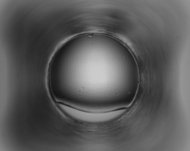 X0000094361379200711162042