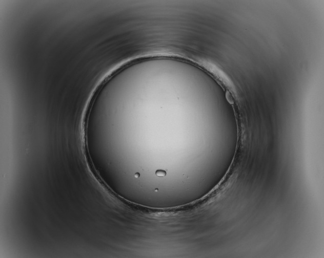 X0000094361380200711162042