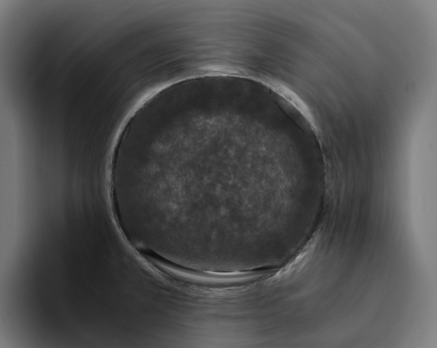 X0000094361381200711162042