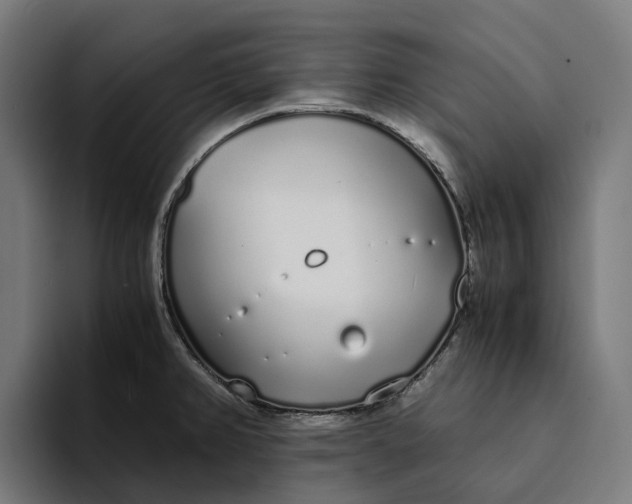 X0000094361382200711162042