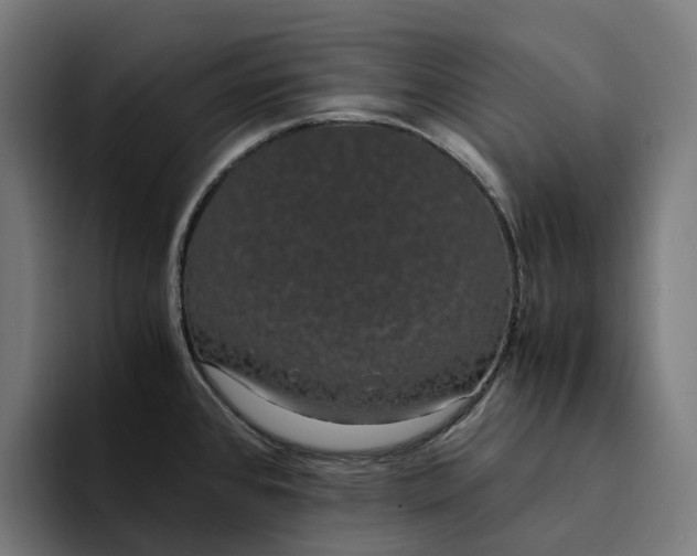 X0000094361384200711162042