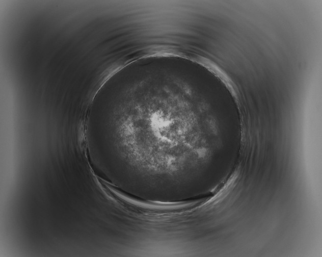 X0000094361385200711162041