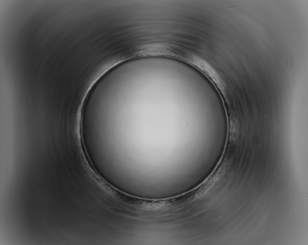 X0000094361386200711162041