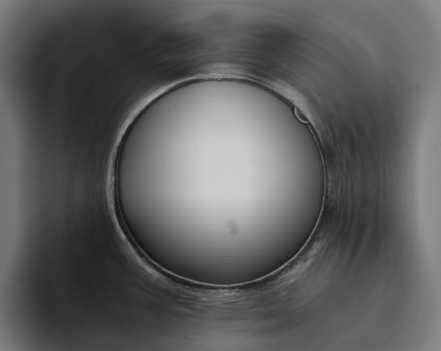 X0000094361387200711162041