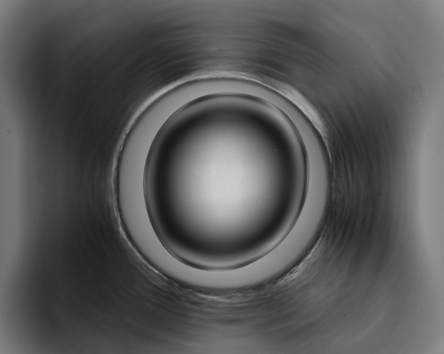 X0000094361388200711162041