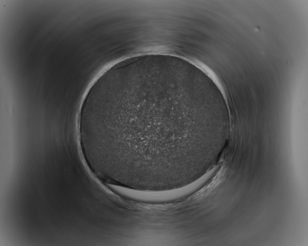 X0000094361389200711162041