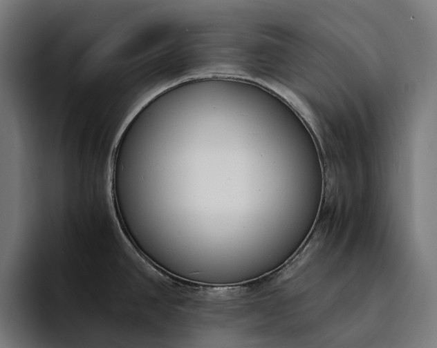 X0000094361390200711162041