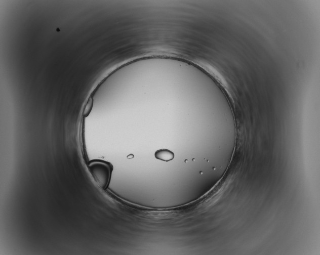 X0000094361391200711162041