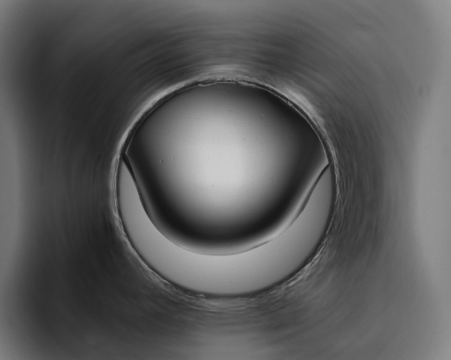 X0000094361392200711162041