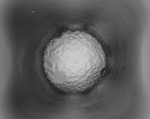 X0000094361393200711162041