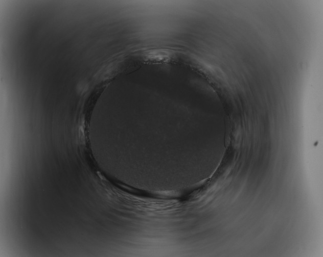 X0000094361394200711162041