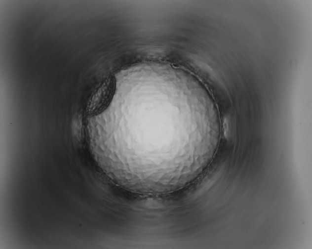 X0000094361395200711162041