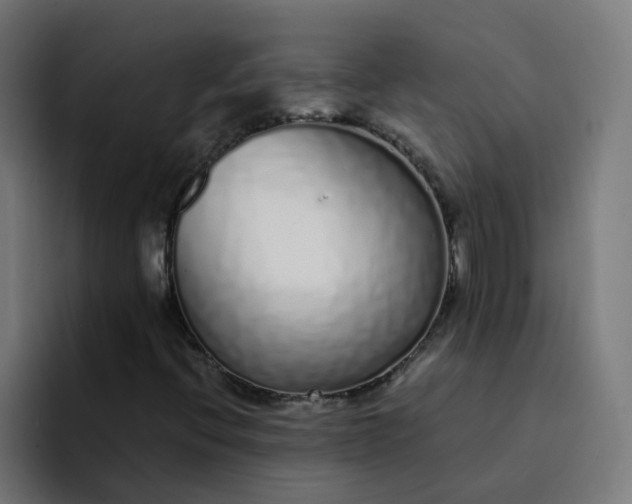 X0000094361396200711162041