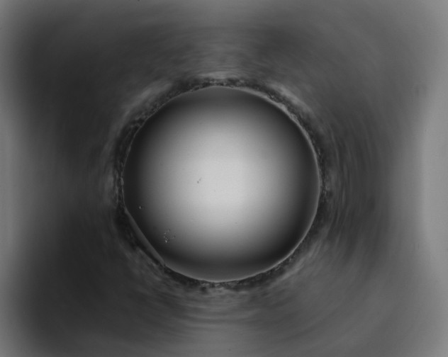 X0000094361398200711162041