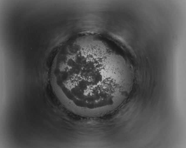 X0000094361399200711162041