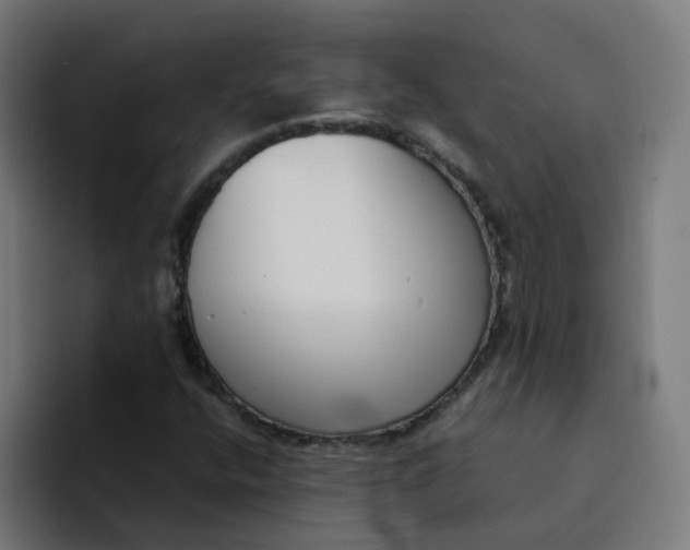 X0000094361400200711162041