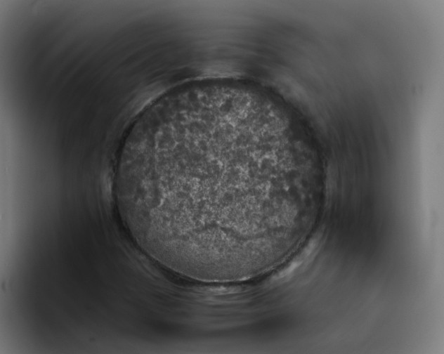 X0000094361401200711162041