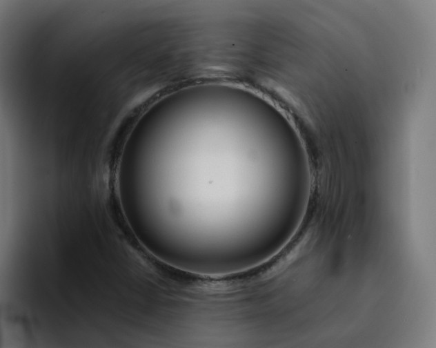 X0000094361402200711162041