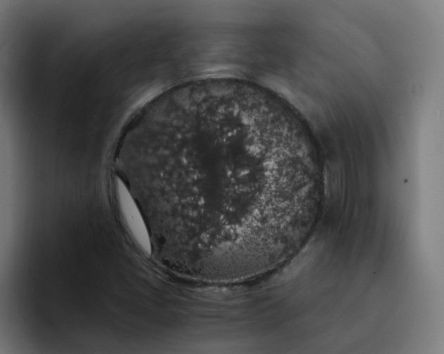 X0000094361405200711162041