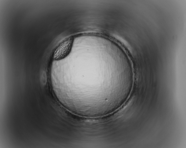 X0000094361407200711162041