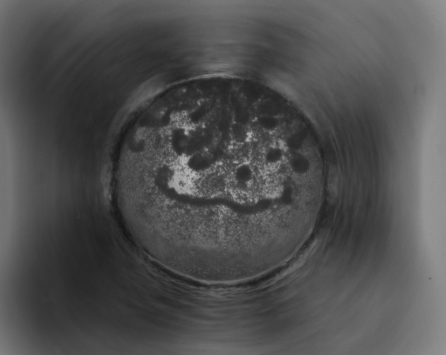 X0000094361411200711162041